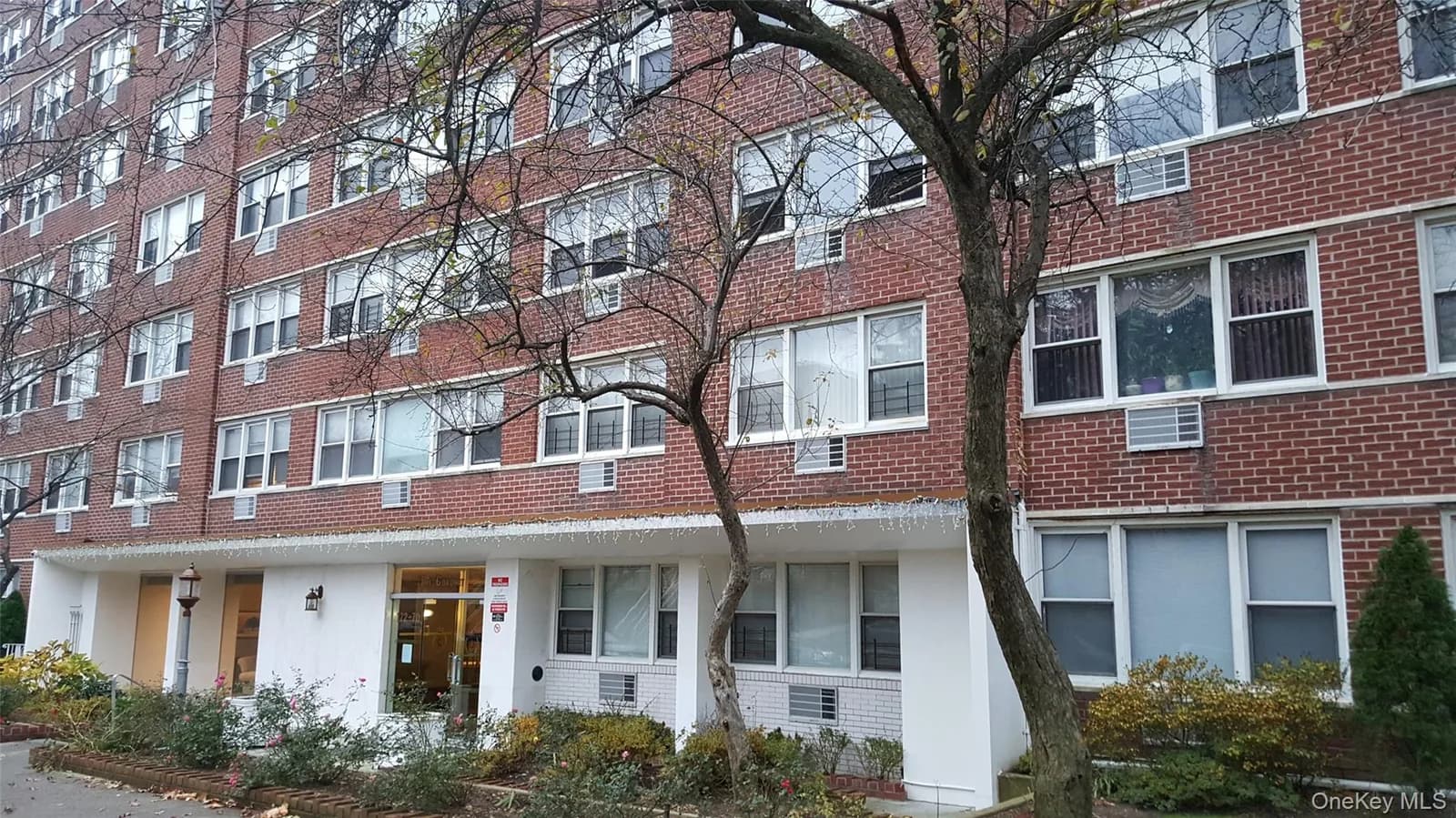 Stock Cooperative in Jamaica Estates, NY